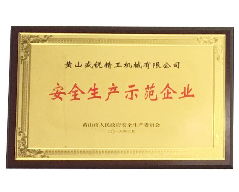 安全生產(chǎn)示范企業(yè)